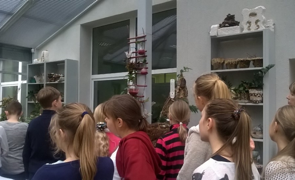 WP_20151218_13_57_08_Pro