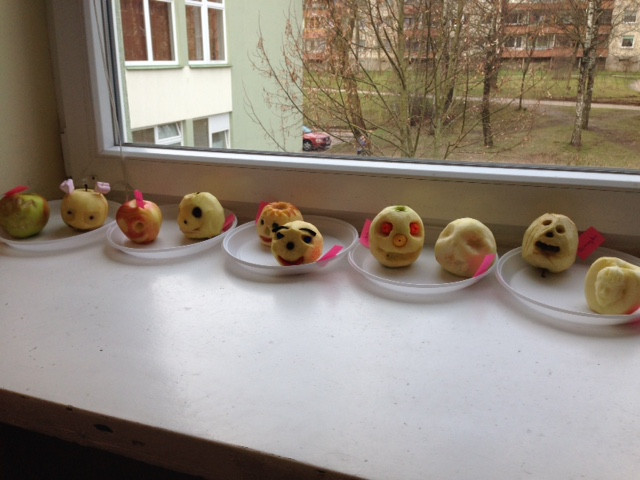 Obuoliukai jaunyst4je 2016 0407