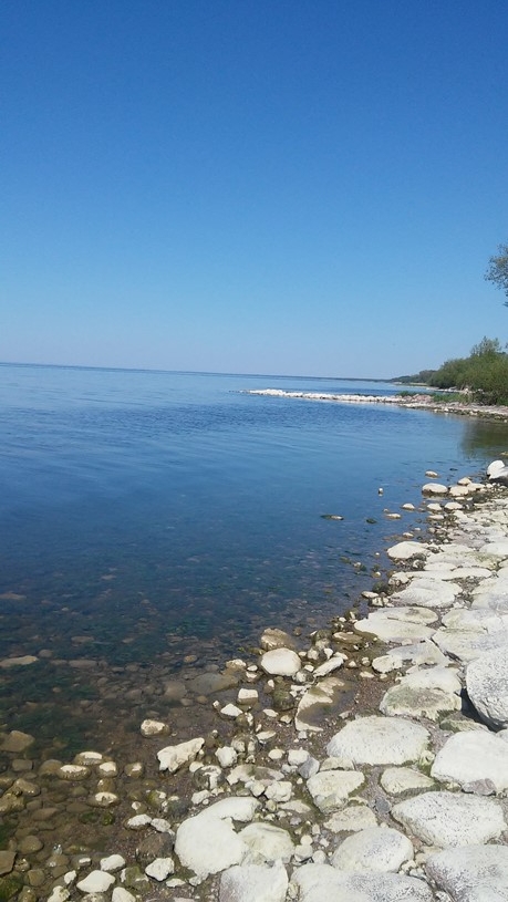 ekskursija i Ventes Raga 2017 05 19- 19