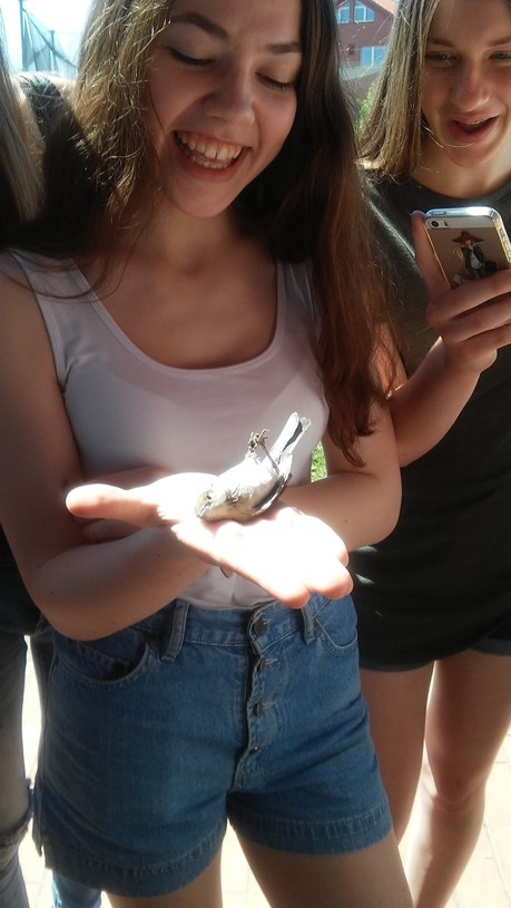 ekskursija i Ventes Raga 2017 05 19- 42