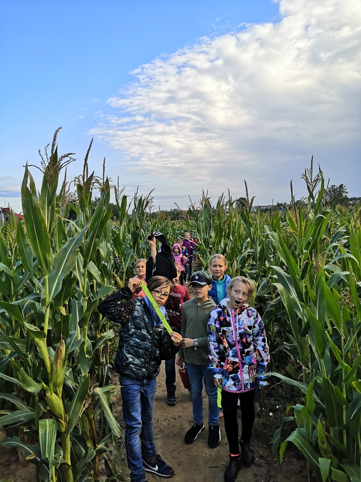 IMG_20190906_092858