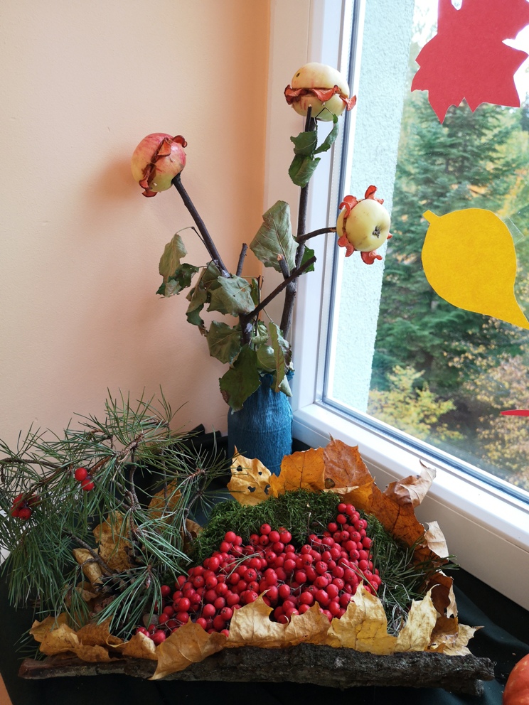 IMG_20191008_153150