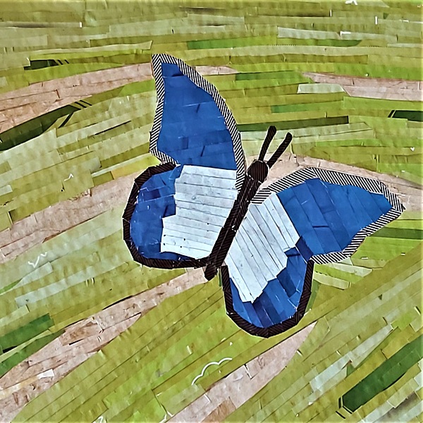 034 Eimantas Dubonis 5b