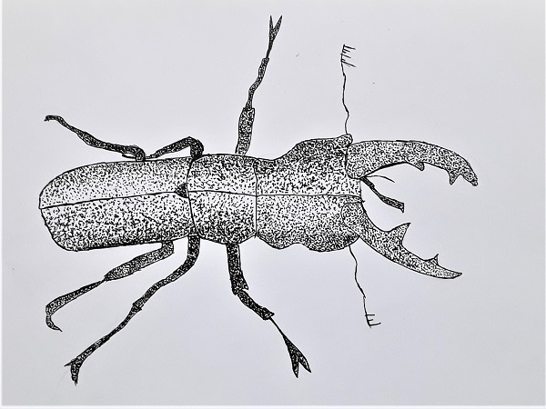 Mykolas Visakavičius