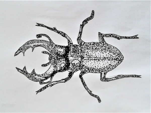 Rokas Mockevičius 7d