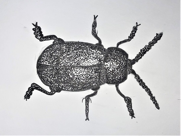 Tėja Marija Skrodenytė