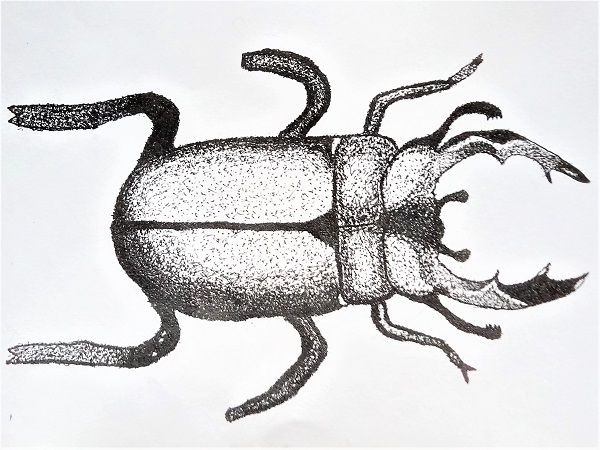 Vabalas Vaidas Saročka 7d