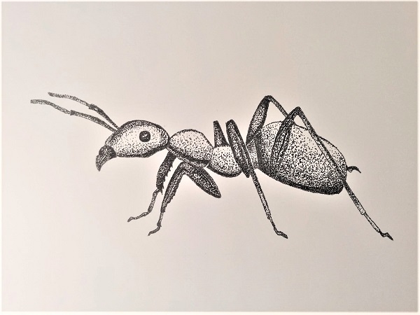 Žygimantas Varkala 7b