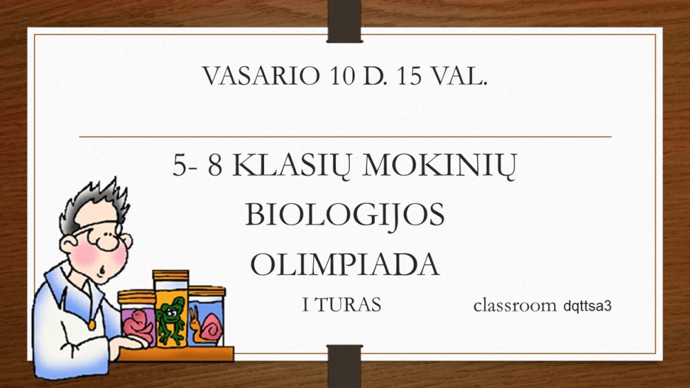 Skaidrė1