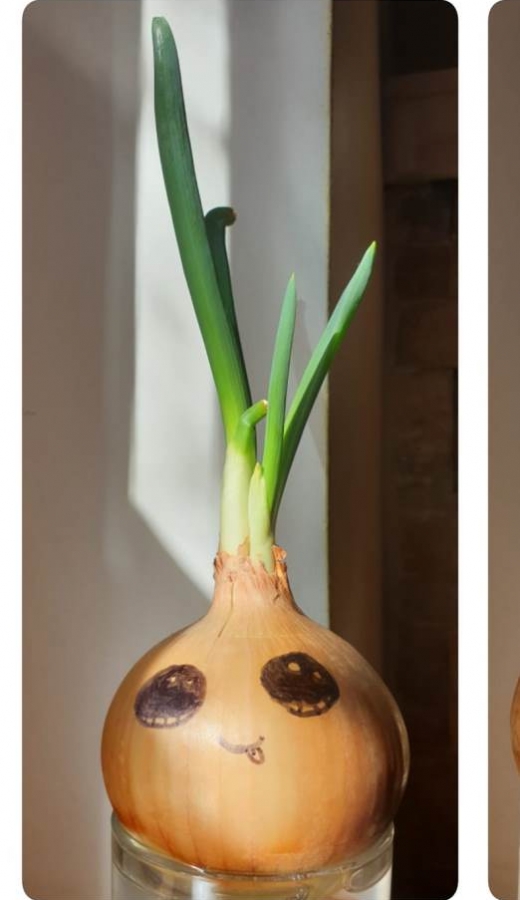 Svogunai