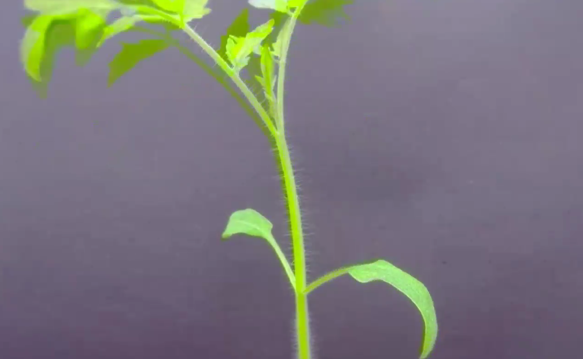 277336428_510175593833743_7156891402569498205_n