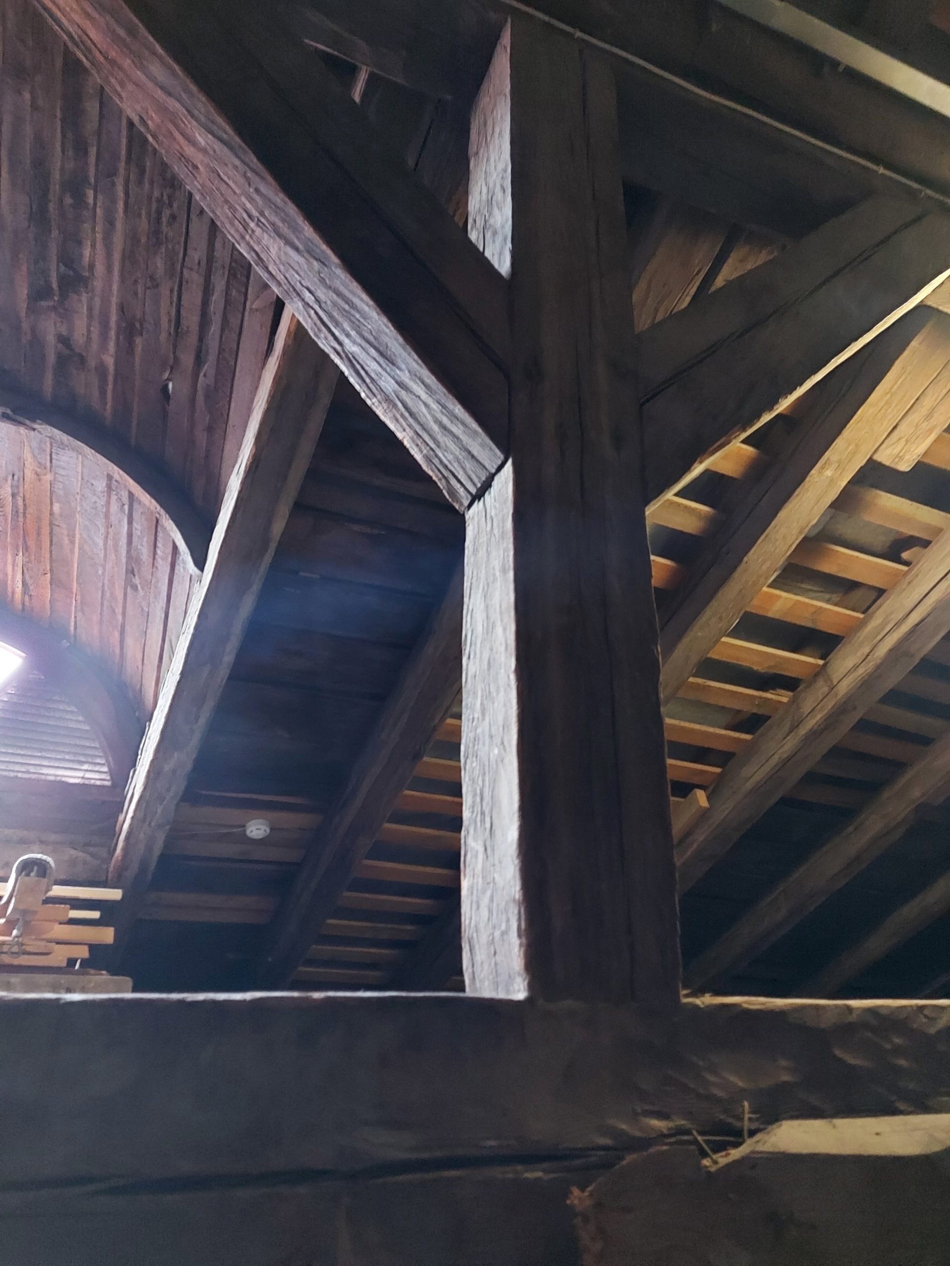 20220425_152307 – kopija