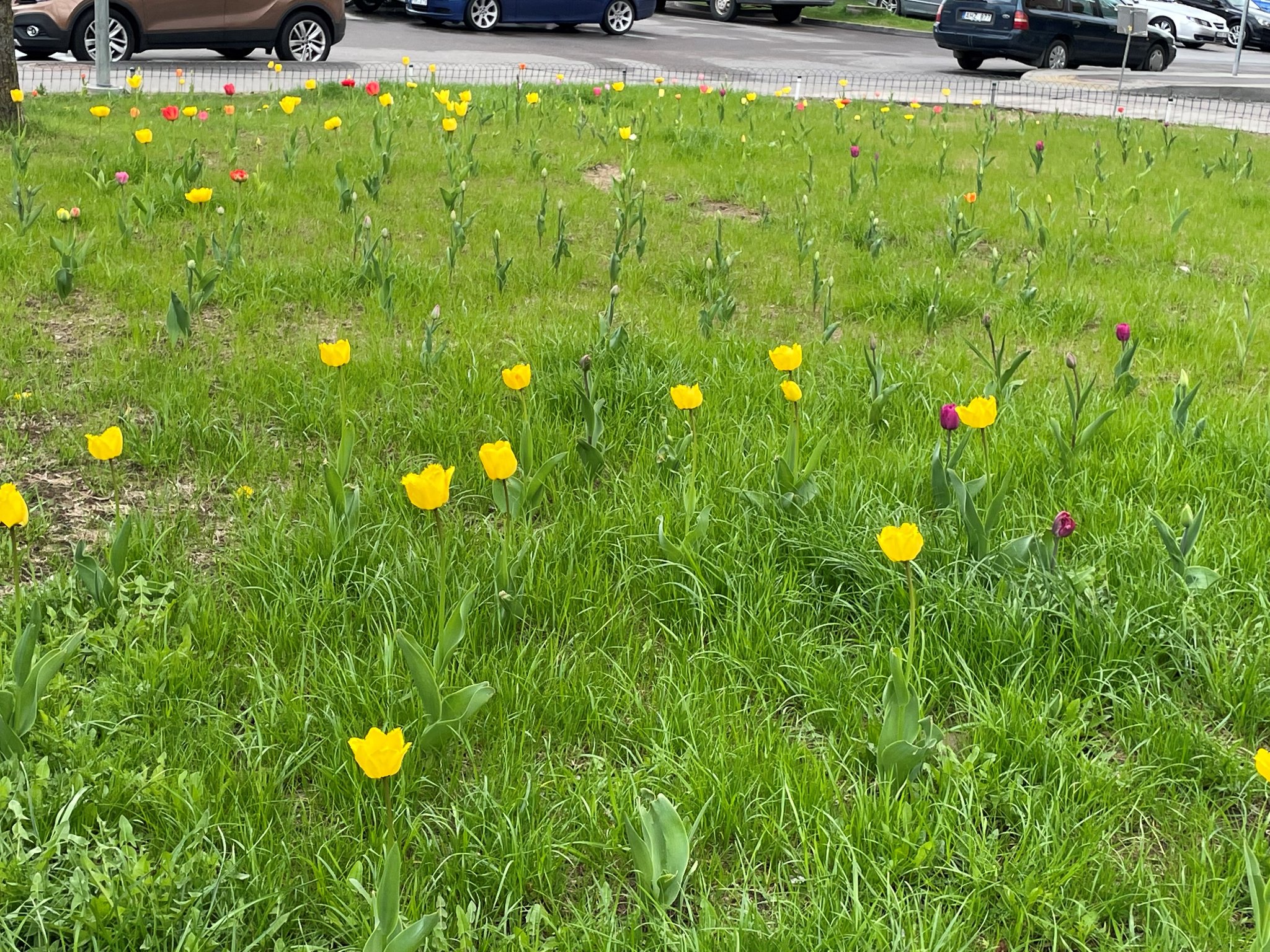 280297815_558566659023361_3789015857296250549_n