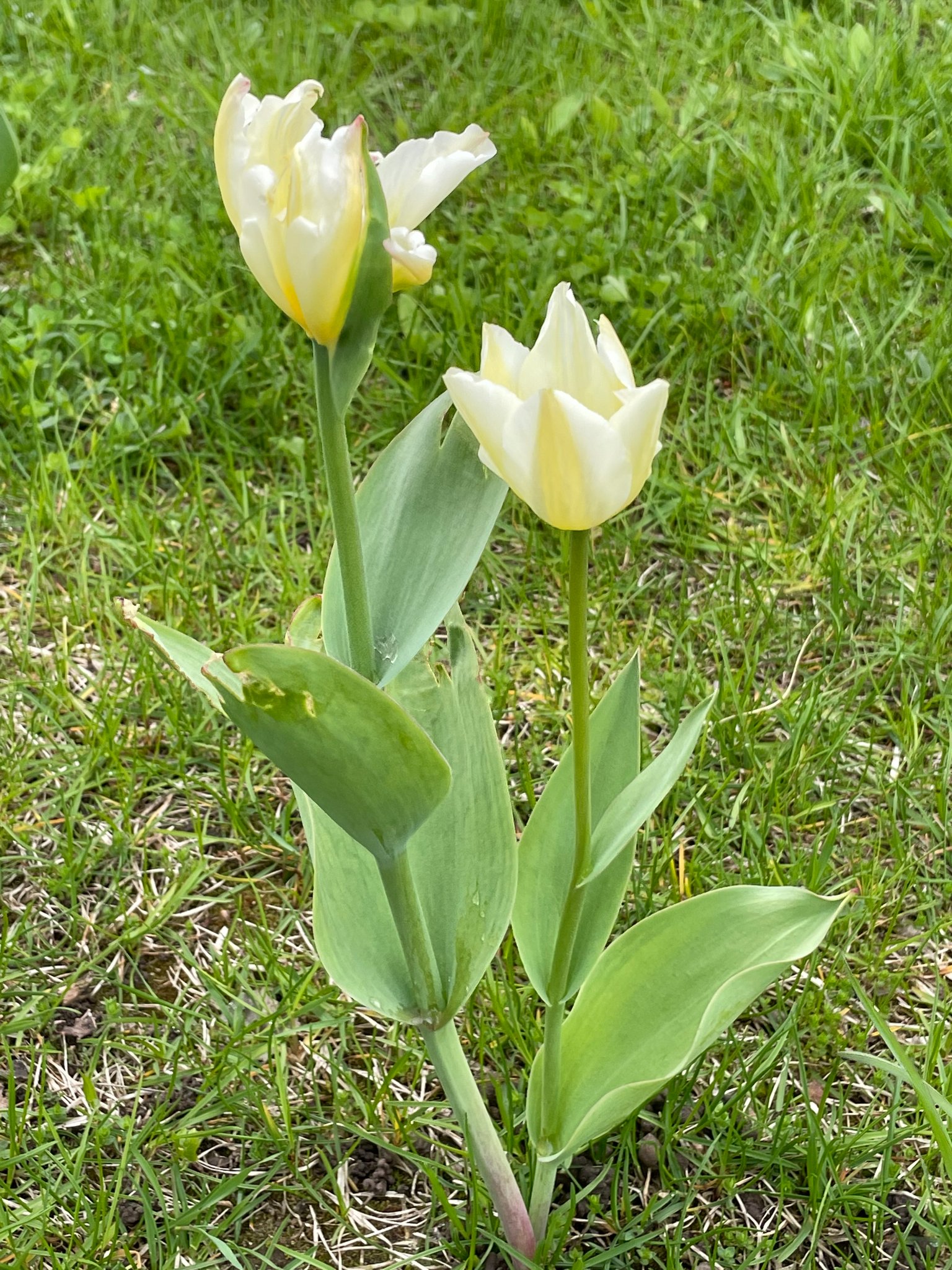 280304350_558566655690028_1829070683823461012_n