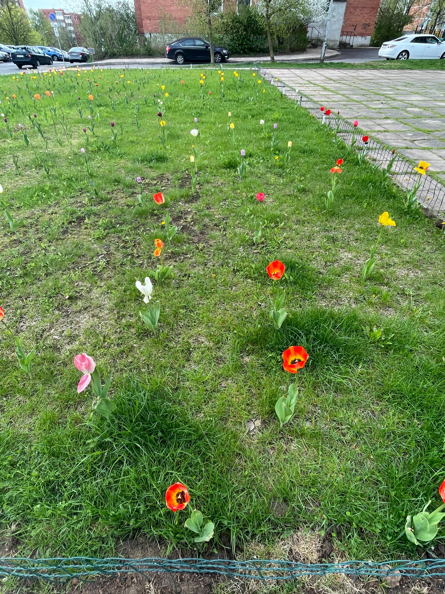 280340542_558566412356719_5715557219537718269_n