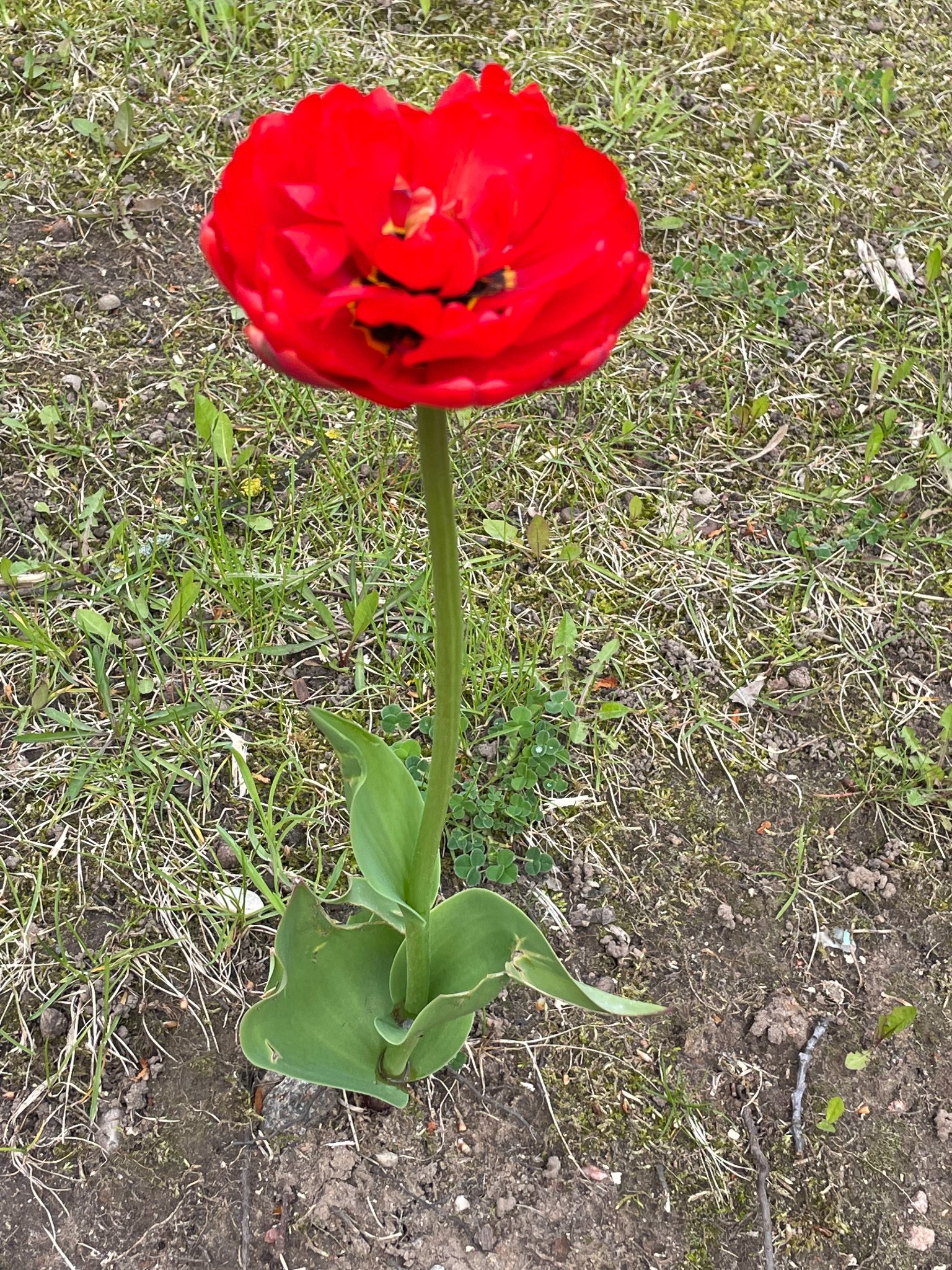 280369032_558566579023369_4070024662601552732_n