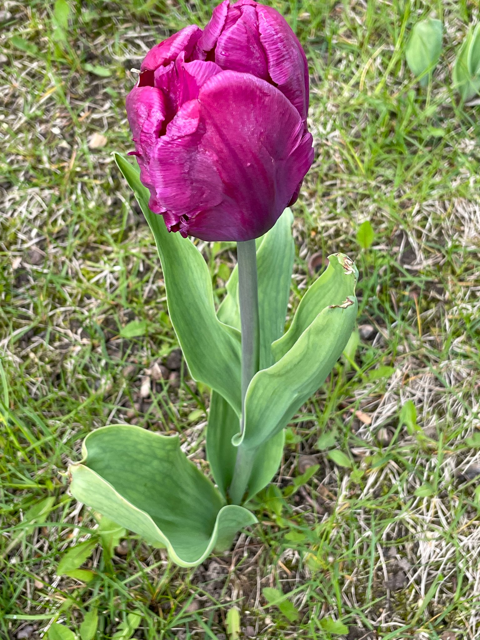 280403684_558566369023390_2563104500627612477_n