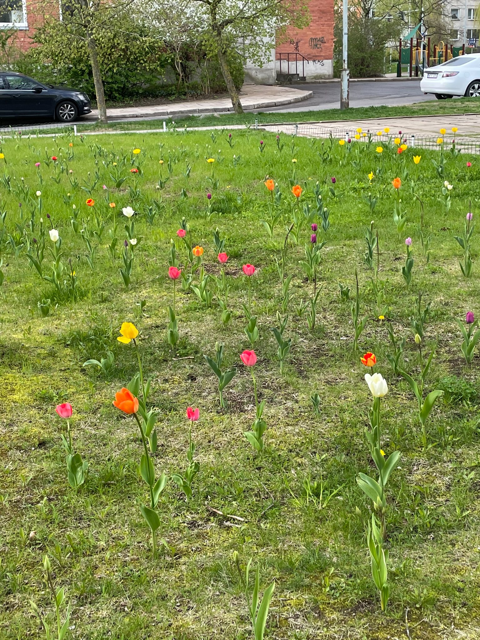 280407284_558566395690054_2930512033197616339_n