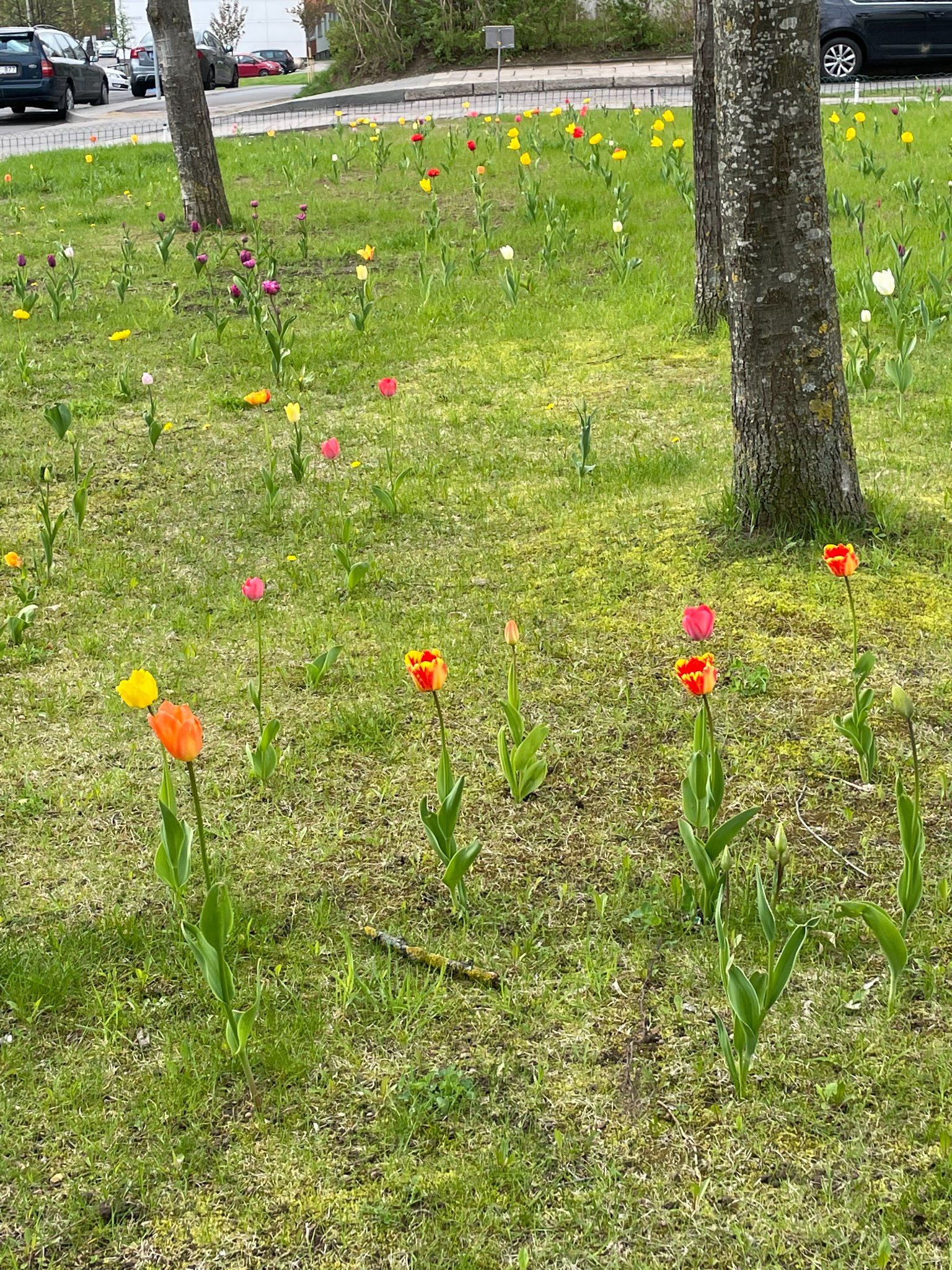 280458308_558566392356721_4840017155512139766_n