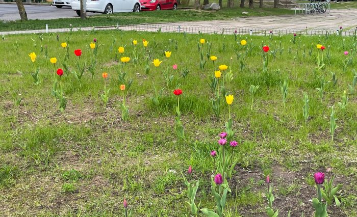 280483208_558566545690039_4410666515145319710_n