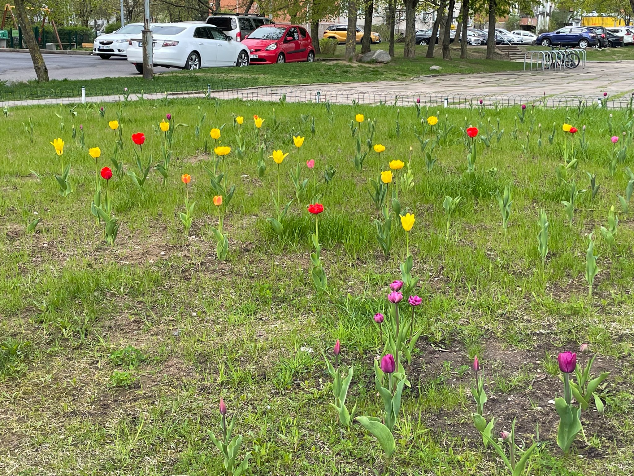 280483208_558566545690039_4410666515145319710_n