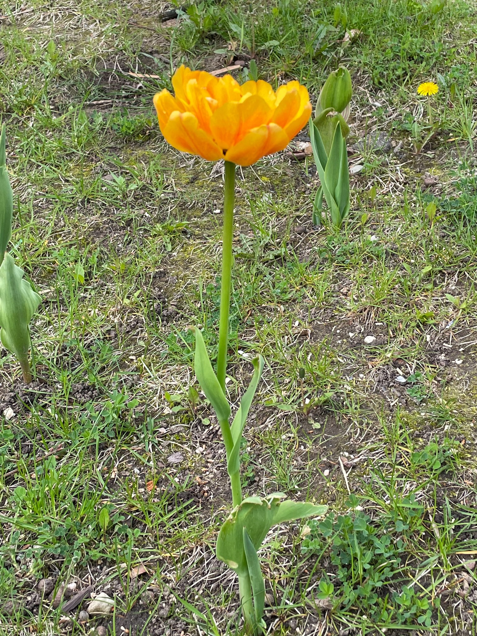 280487121_558566525690041_7885045417793168522_n