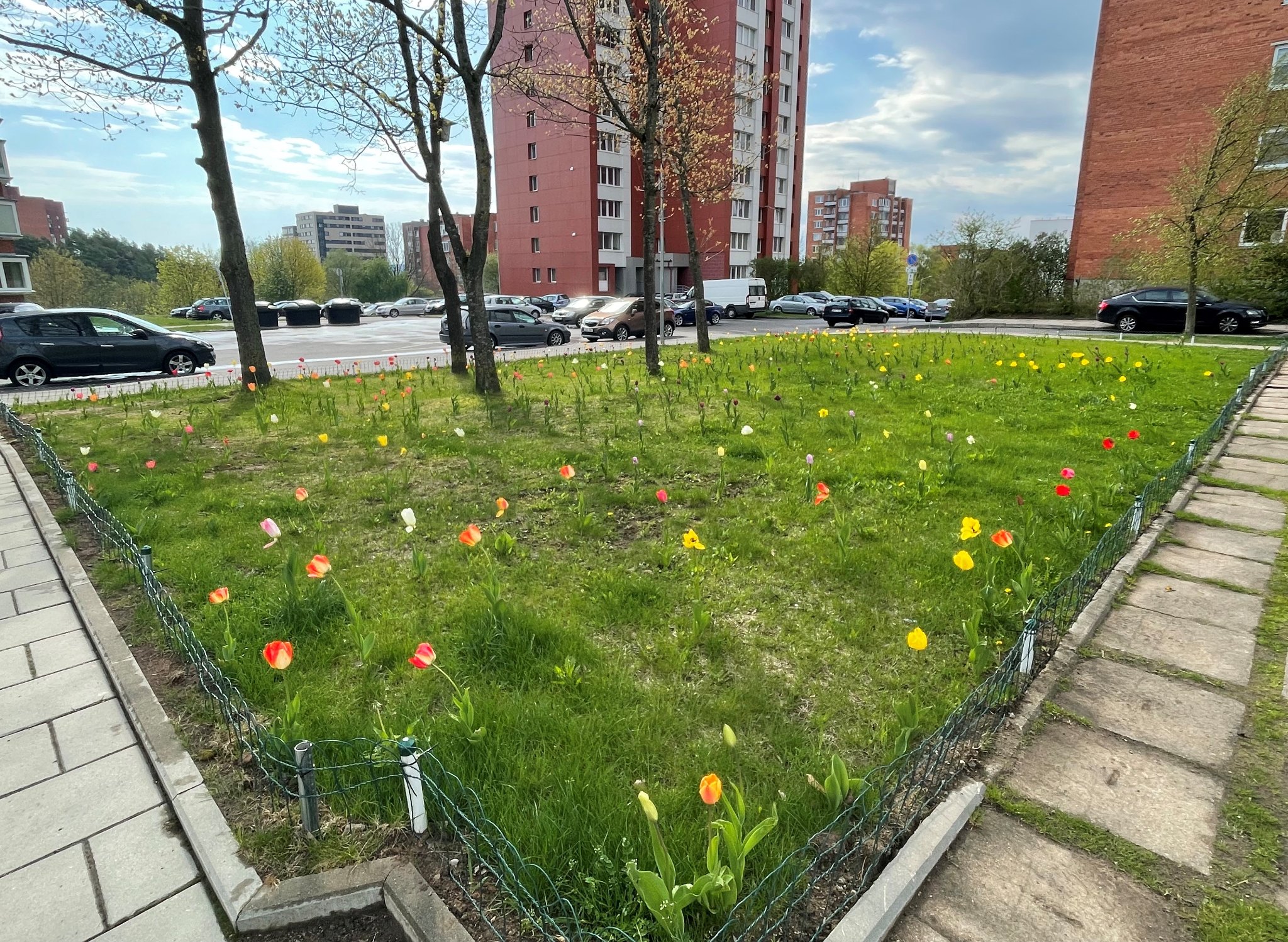 280489634_558566405690053_8048555764816405842_n