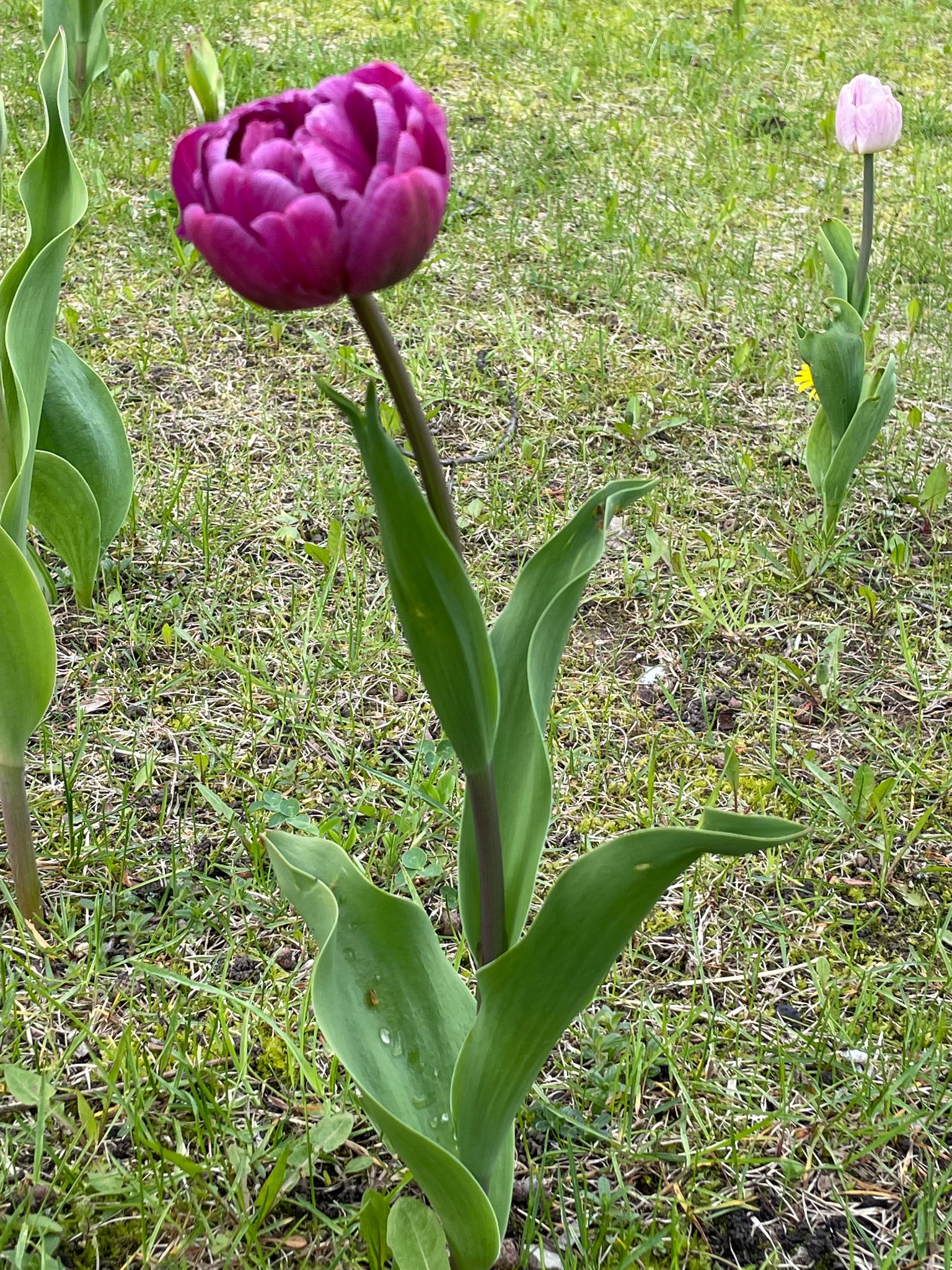 280745414_558566639023363_7914417945006066052_n