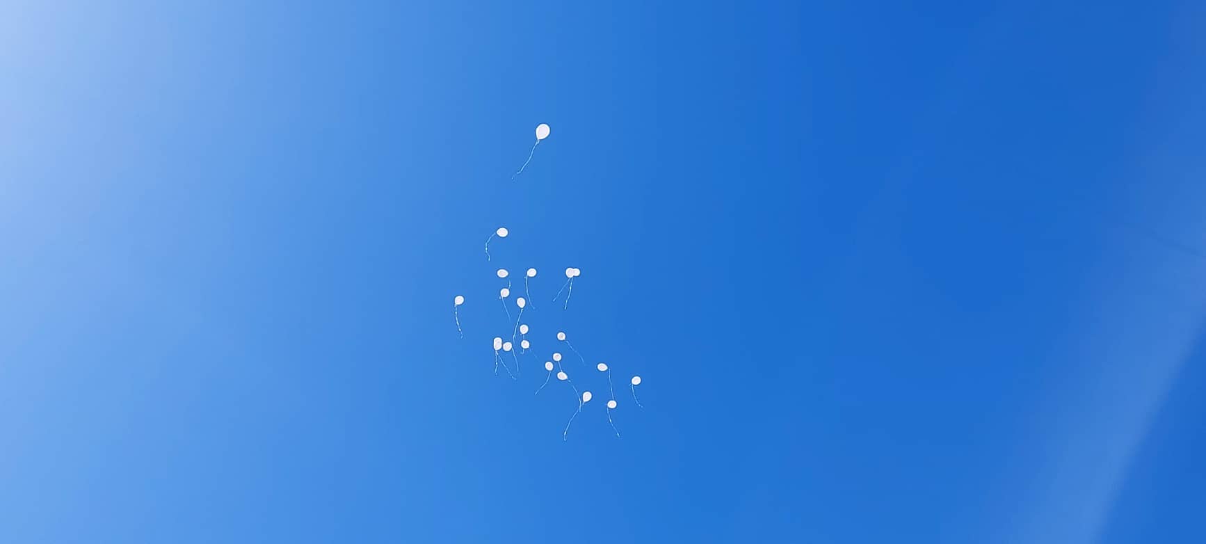 288635613_1508156182961286_7681888374833751140_n