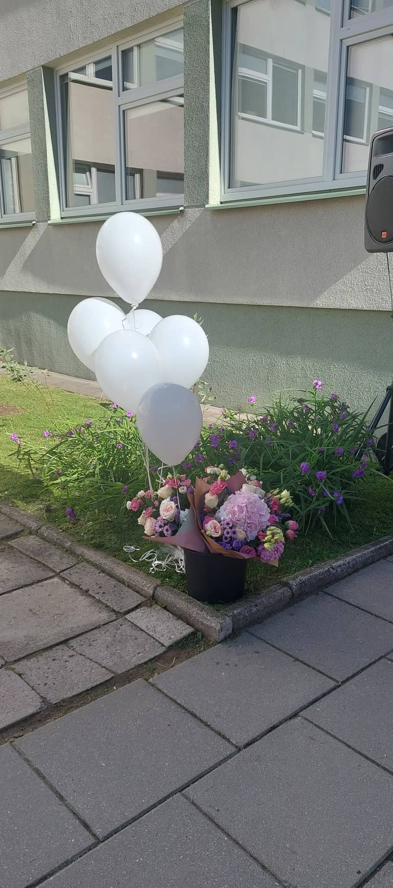 288984631_706094307121131_4469089950559496822_n