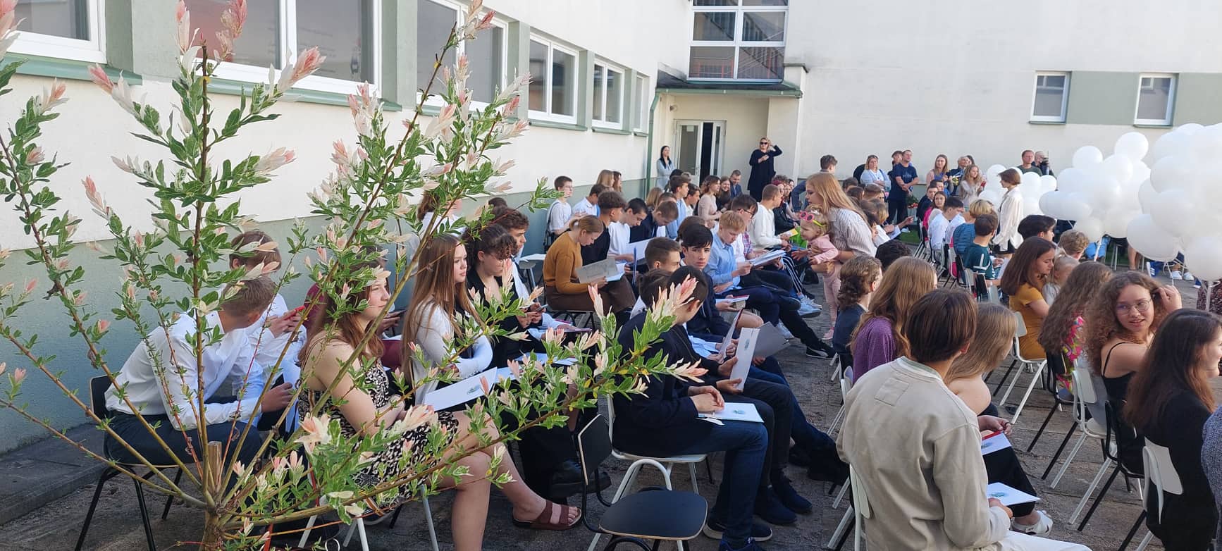 289167158_426090949397612_4657774515918746526_n