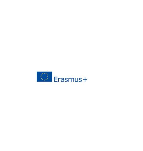 Erasmus LOGO