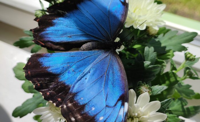 IMG_20220531_144352 IMG_20220531_144352