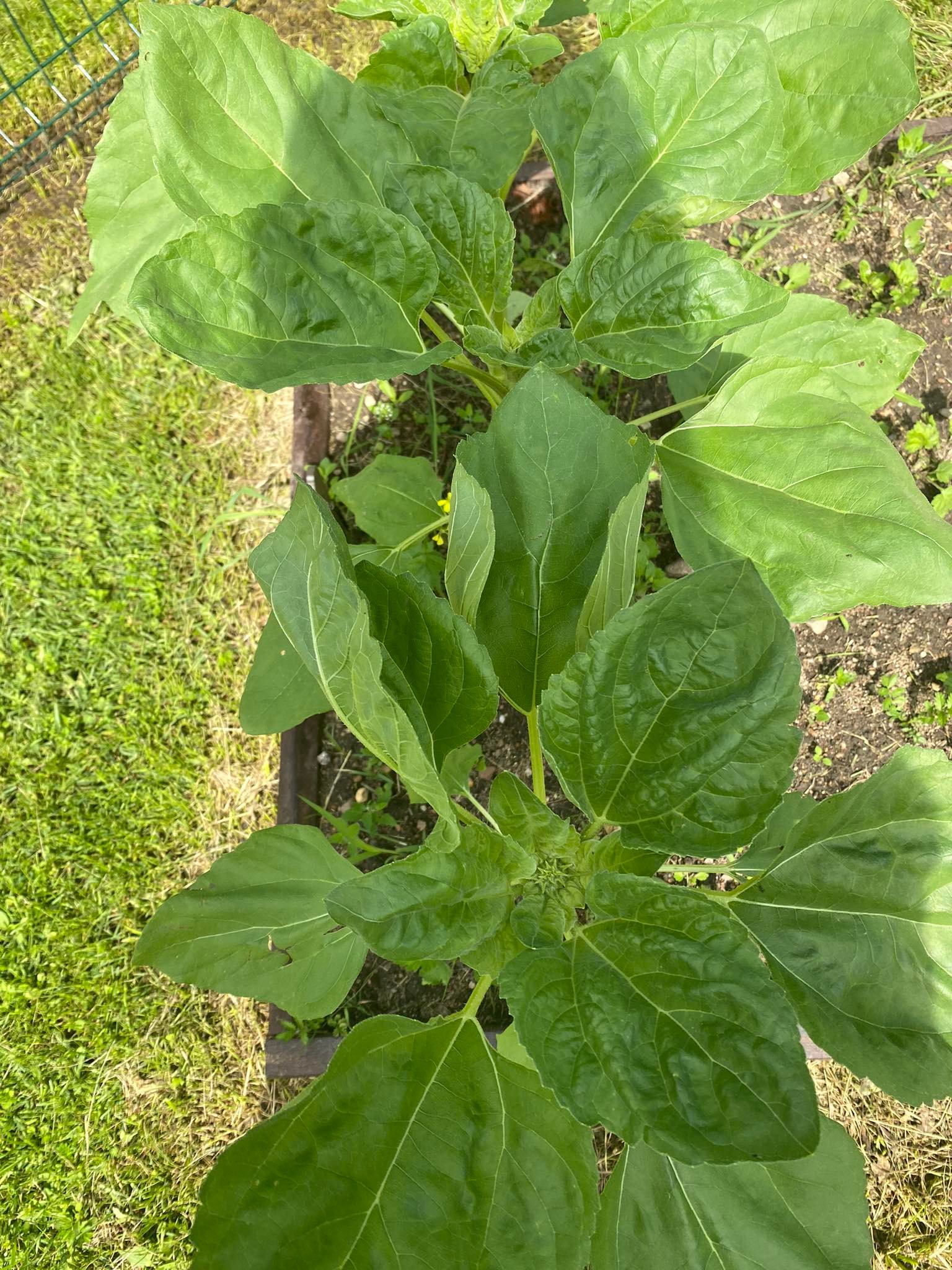 290085737_1153616791870340_8291579961724606628_n