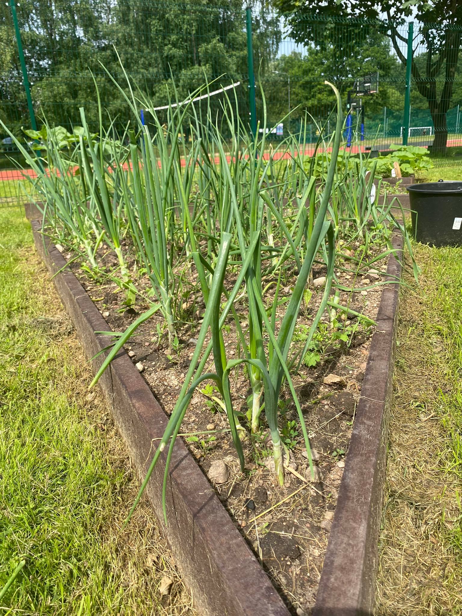 290131262_807358346914032_476906690707900712_n