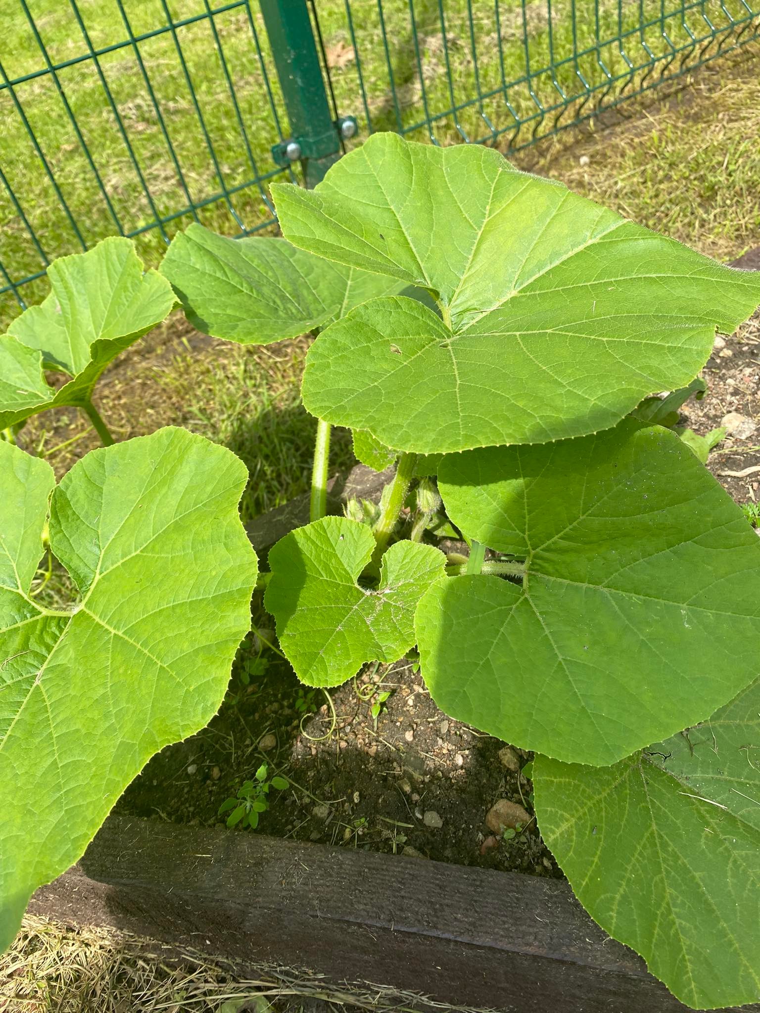 290566008_389308613266557_377855450926824488_n