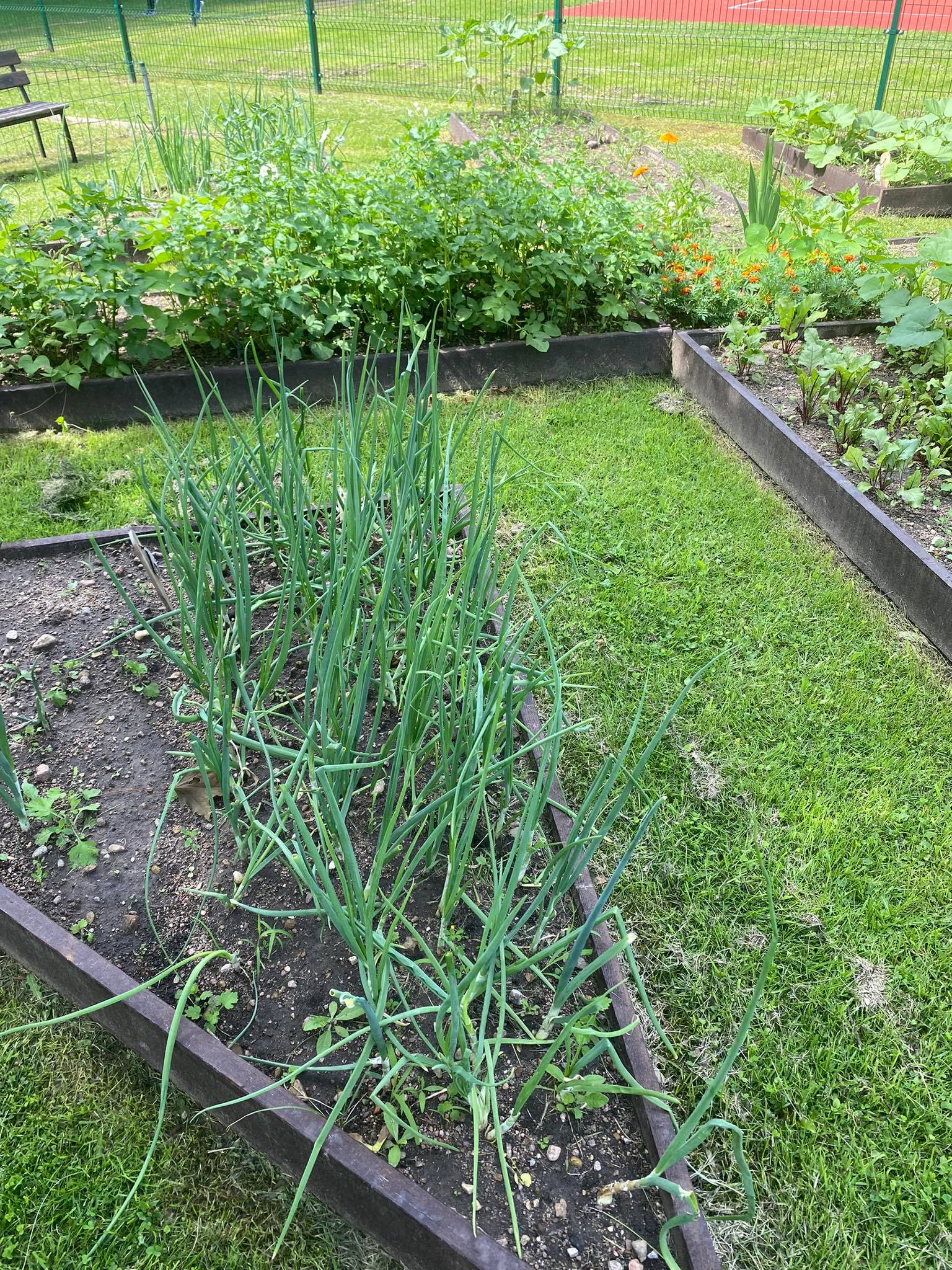 290578806_364432065815018_8183937771494532217_n