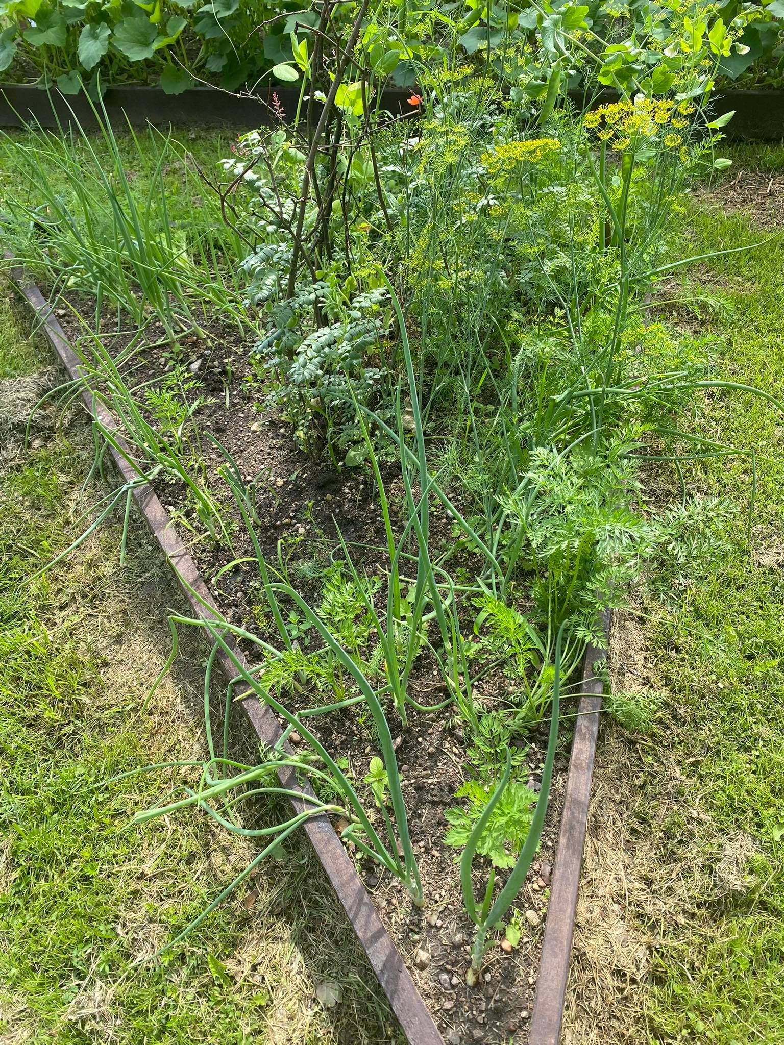 290876662_440899997883847_1508655326375074808_n