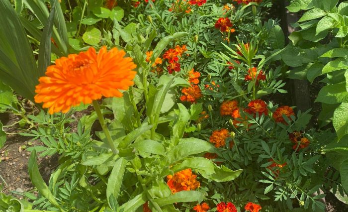 291816544_597394625074676_1980955391695462523_n