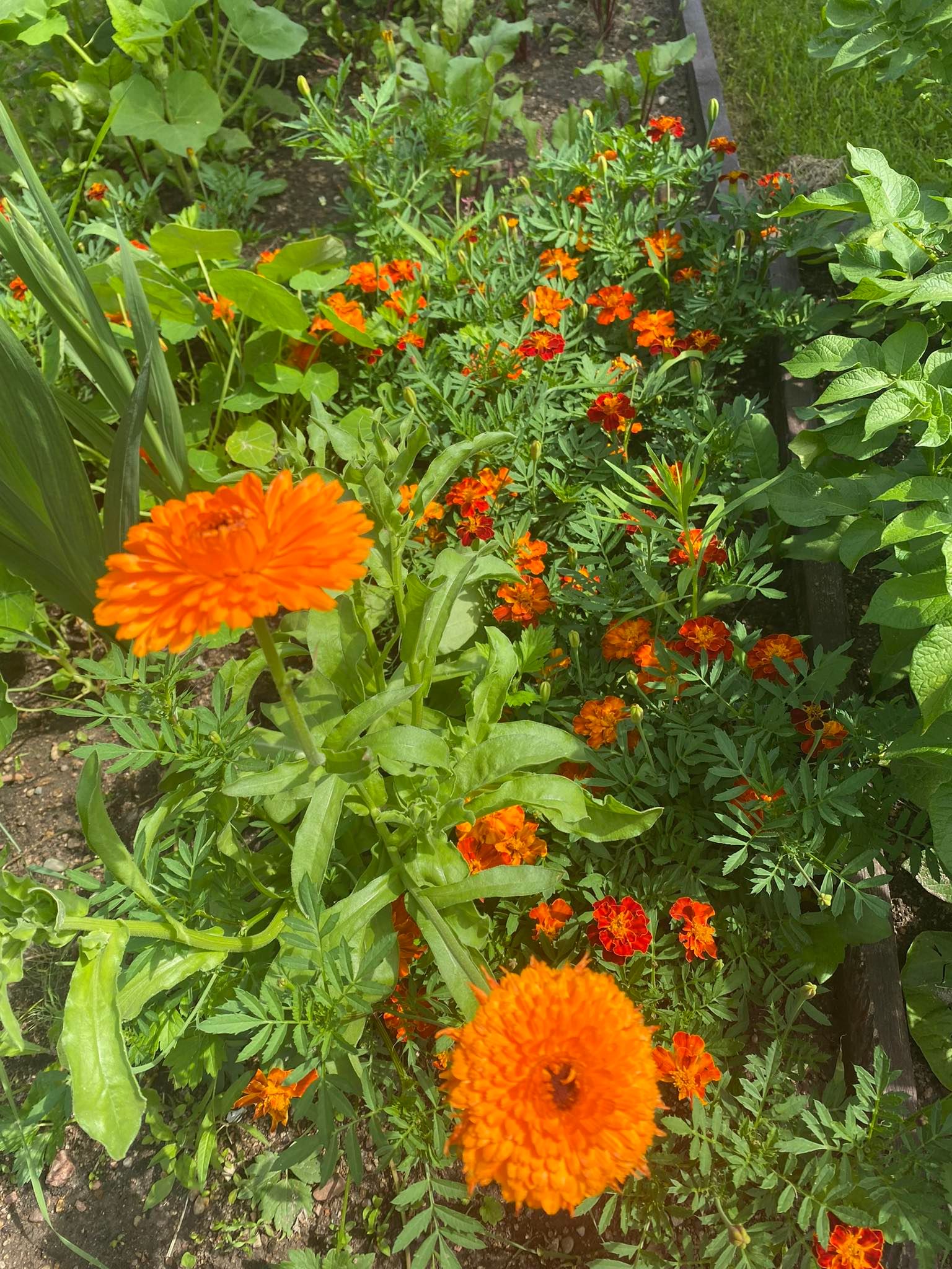 291816544_597394625074676_1980955391695462523_n