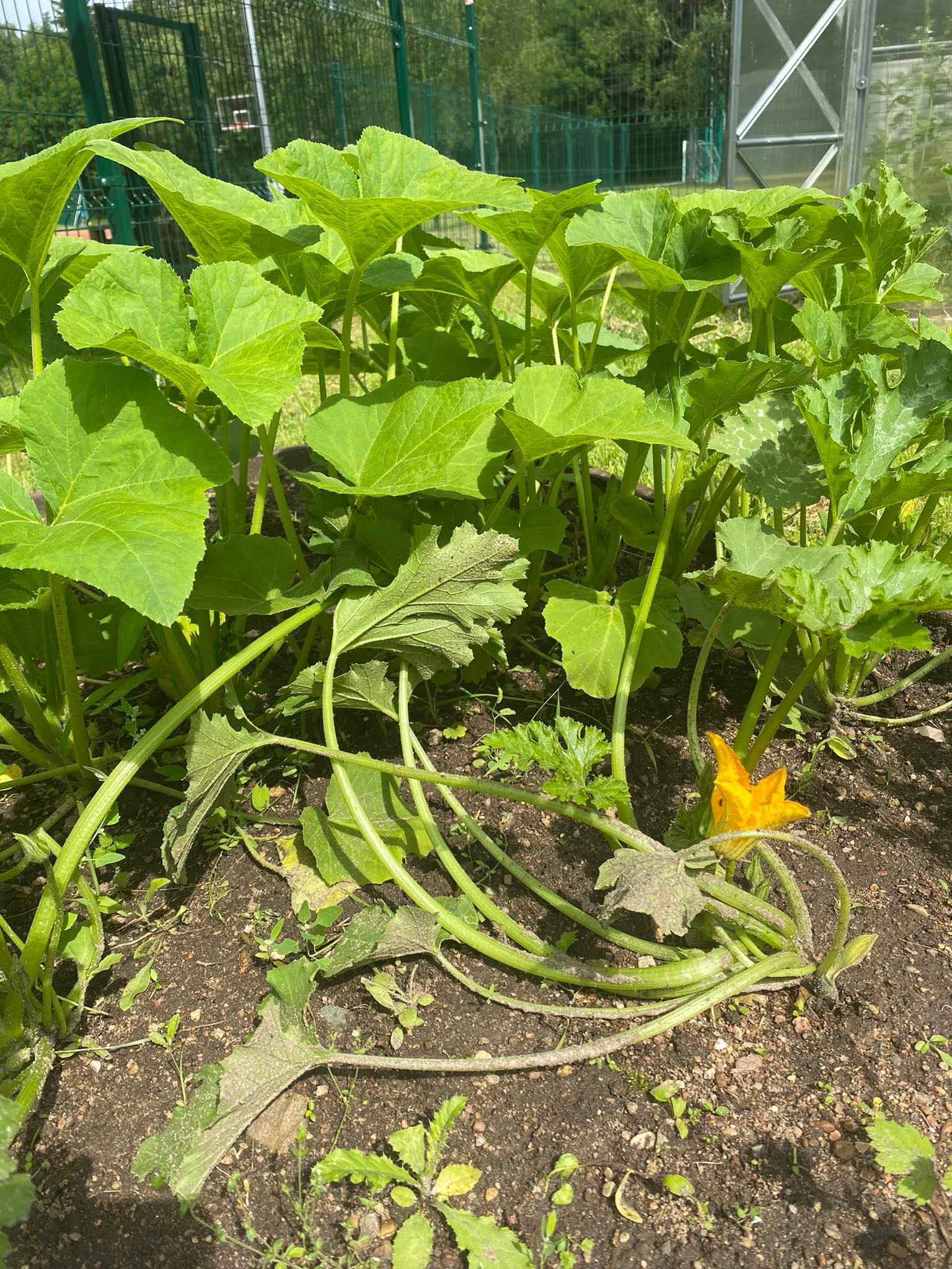 291971011_1362634264228463_1032426623049577510_n