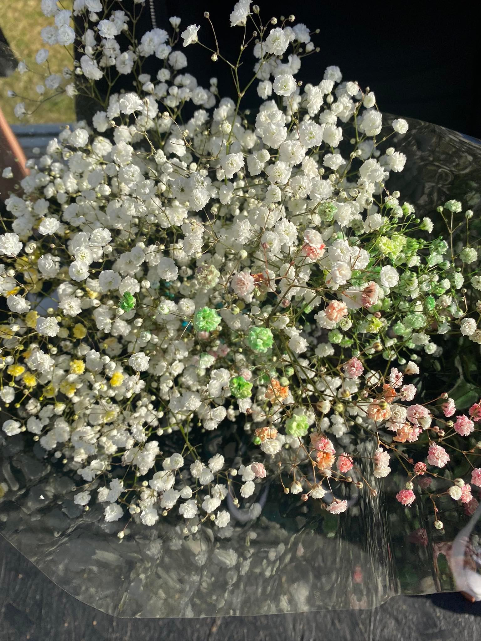 301921828_450737137069862_7589828109058573627_n