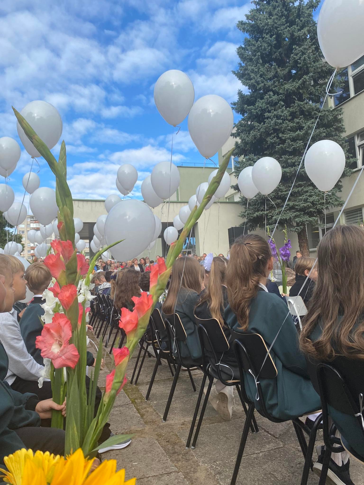 302280535_561755152369850_6822982517486604961_n