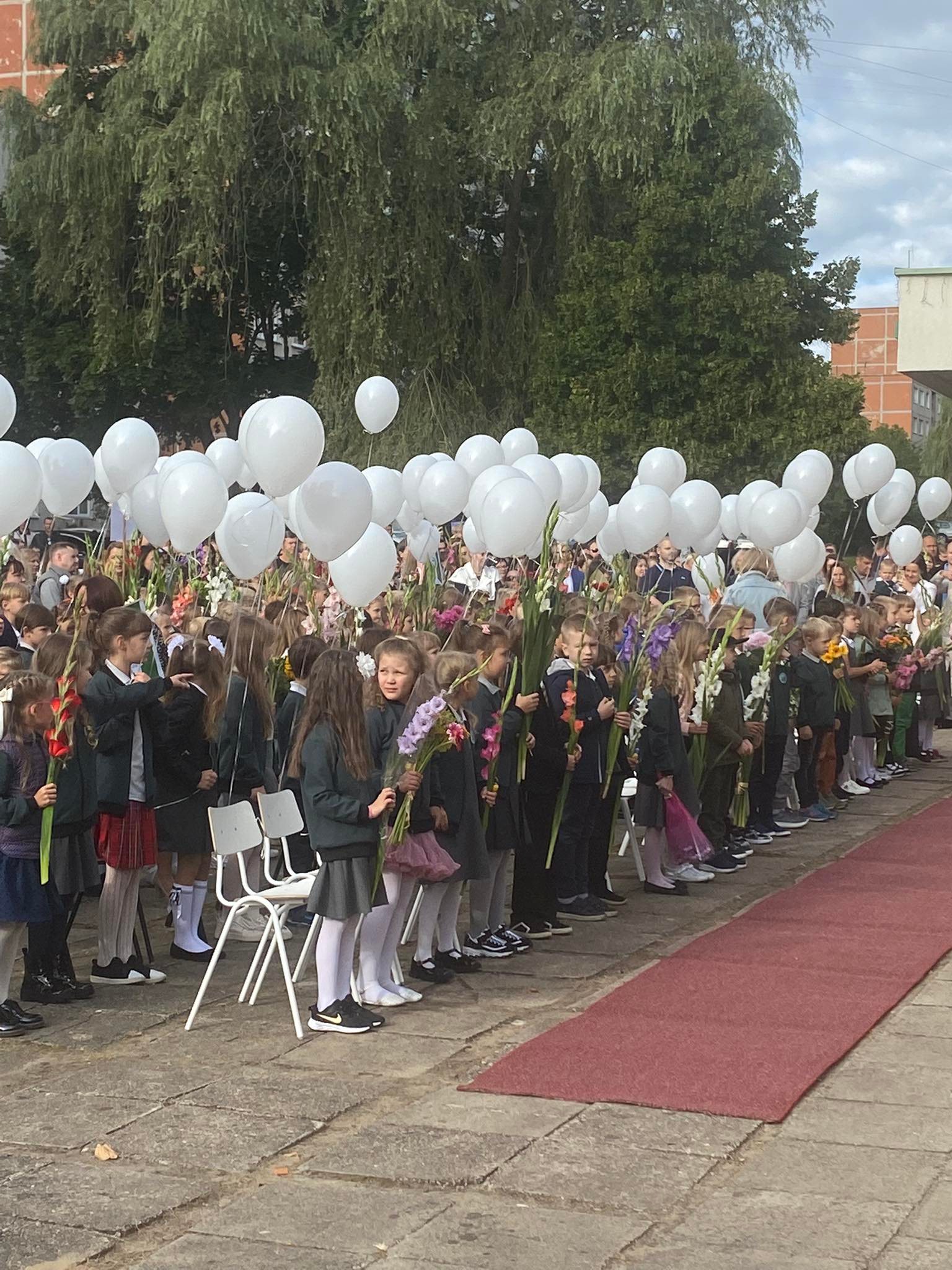 302773915_398210185774352_9114457622301038097_n