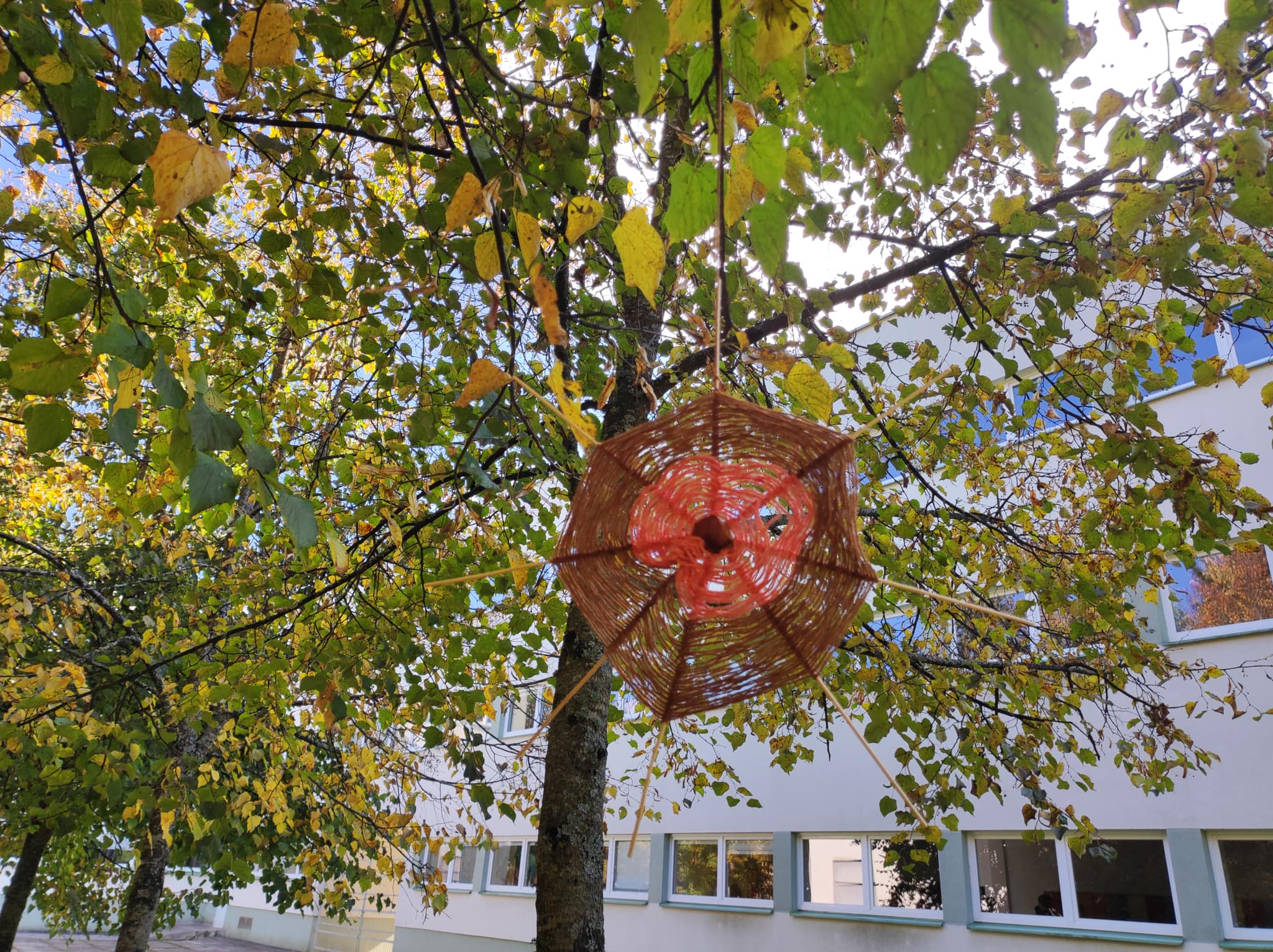 305840478_574193617837386_4494790371345172328_n