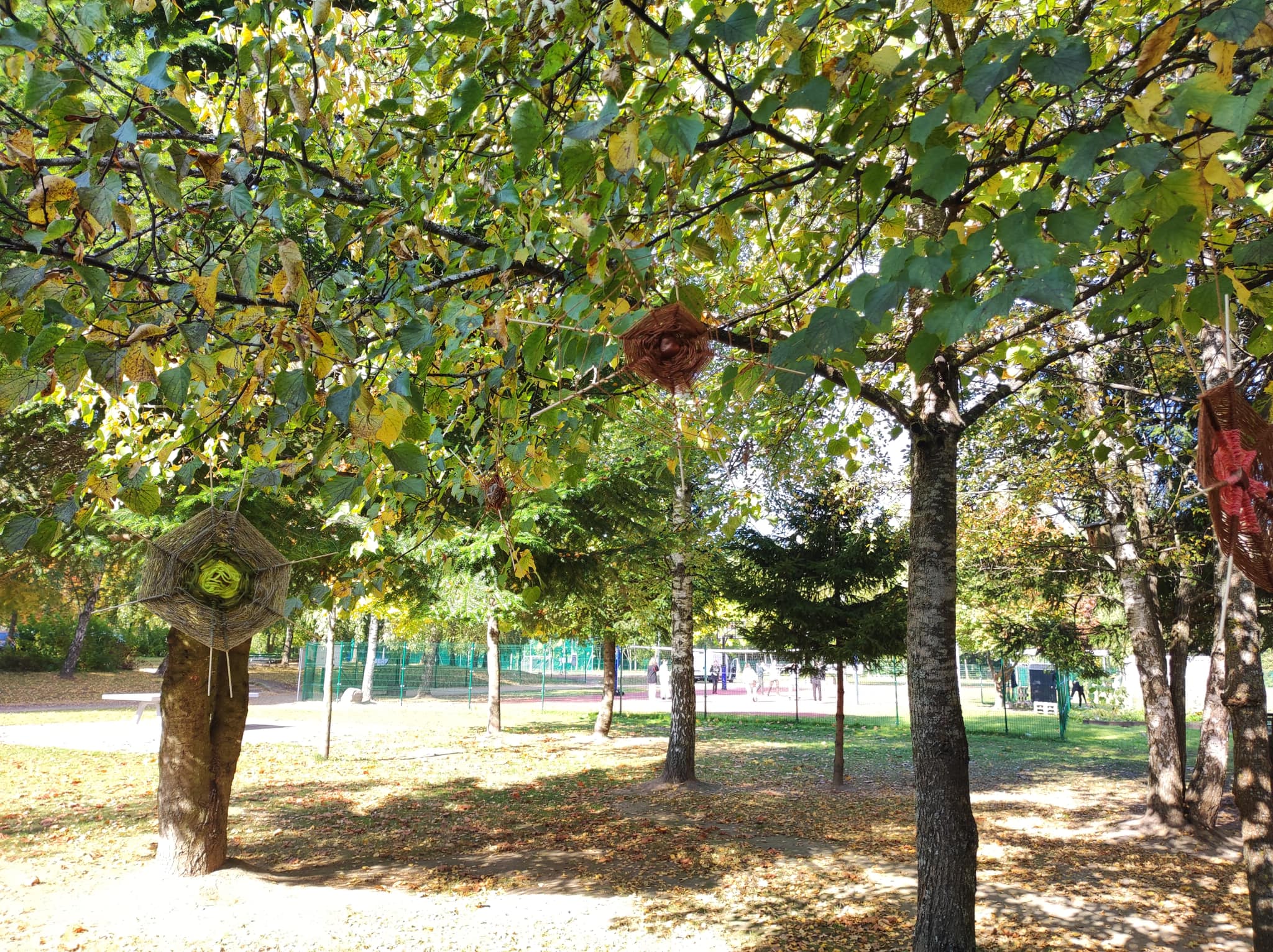 306052657_574193667837381_5463478049738697595_n