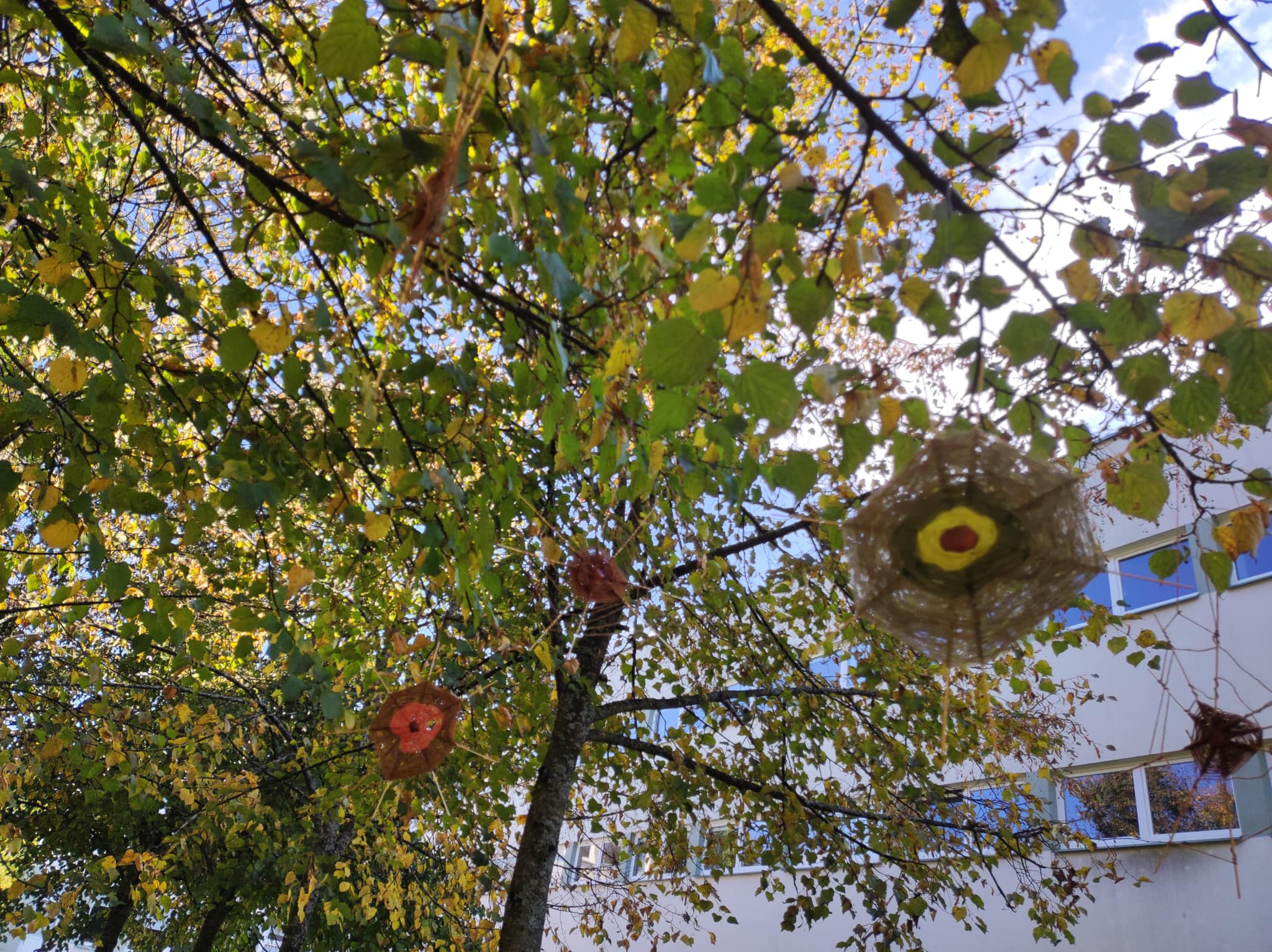 306229408_574193634504051_2784423527867722397_n