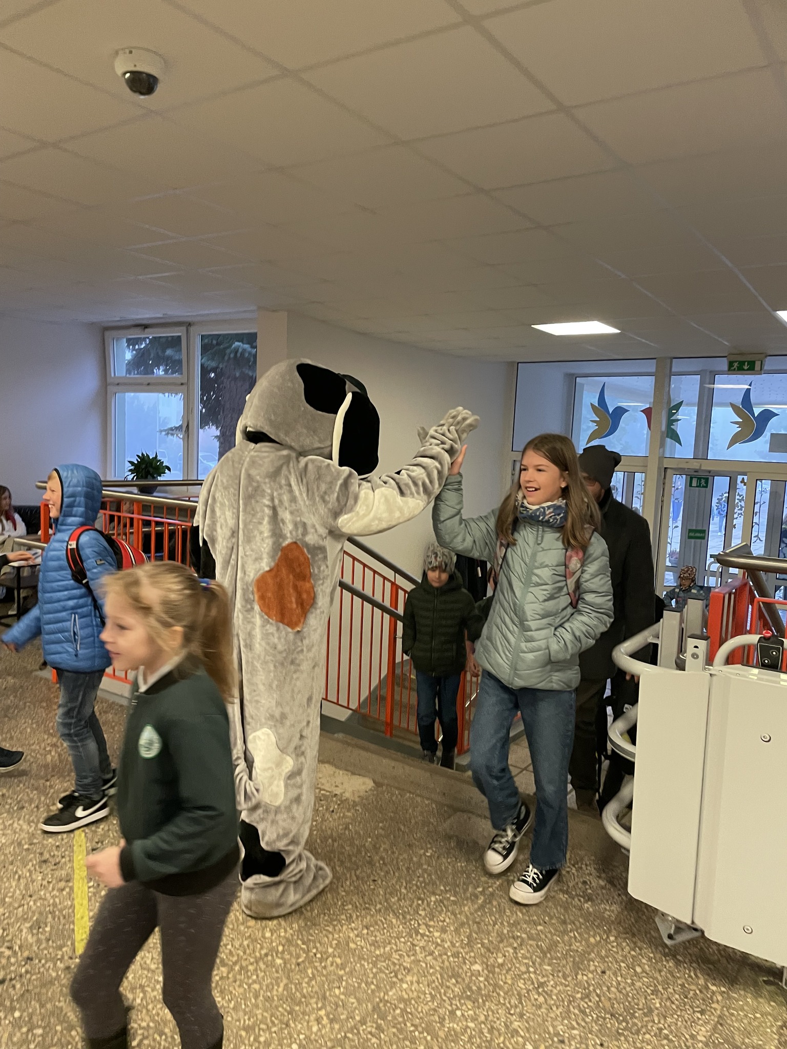 309192486_575684701021611_901438600690643106_n