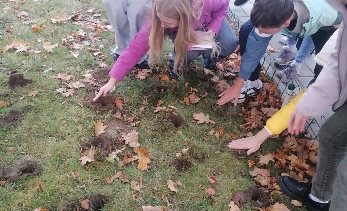 311118123_801349087652437_5472702681429201634_n