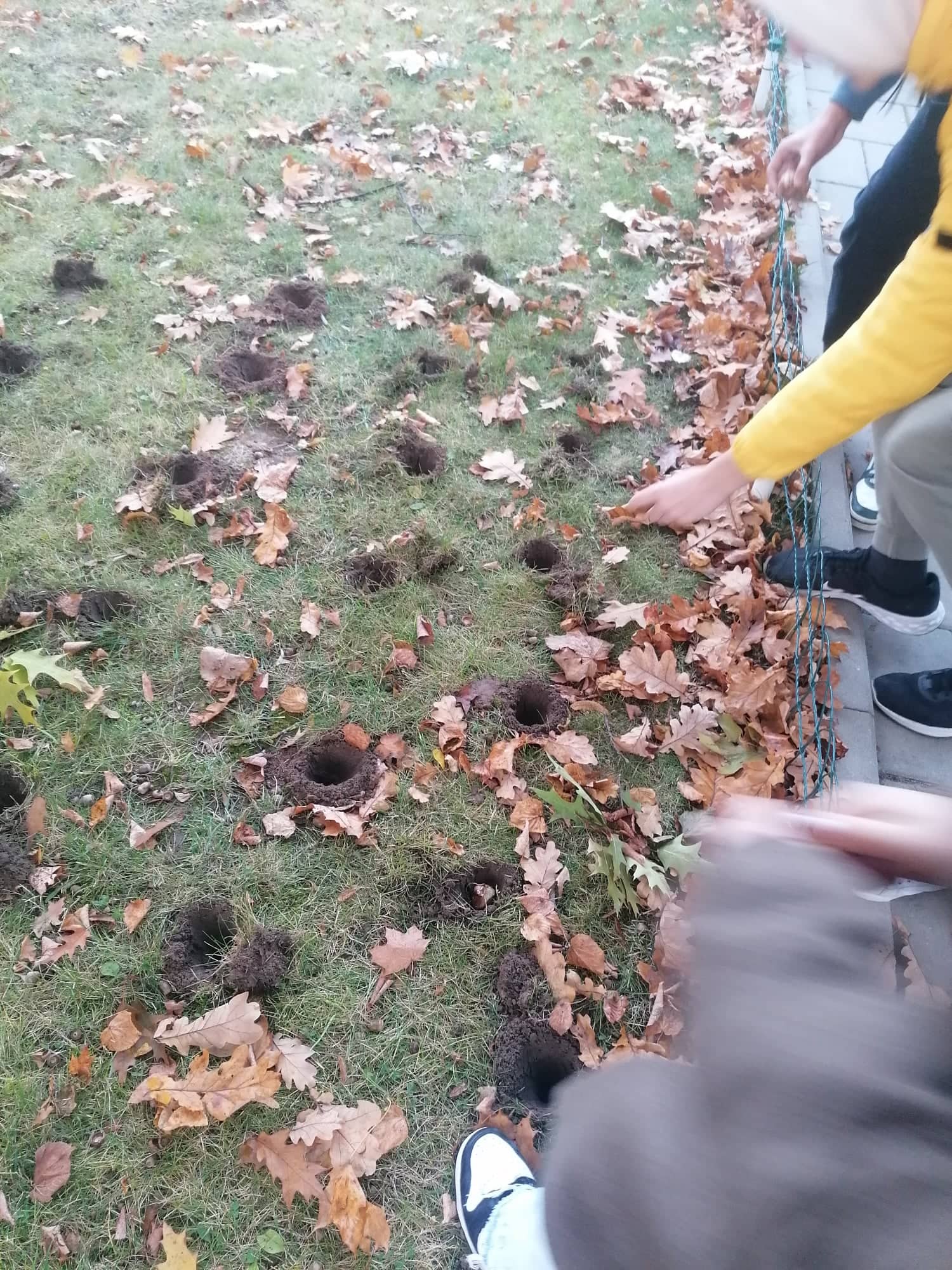 311334176_668008661241641_6959942746704541864_n